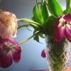 How to Clean a Vase