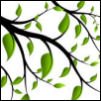 A Year of Family Worship: Scripture Memory