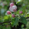 Spring Cleaning for the Heart and Home